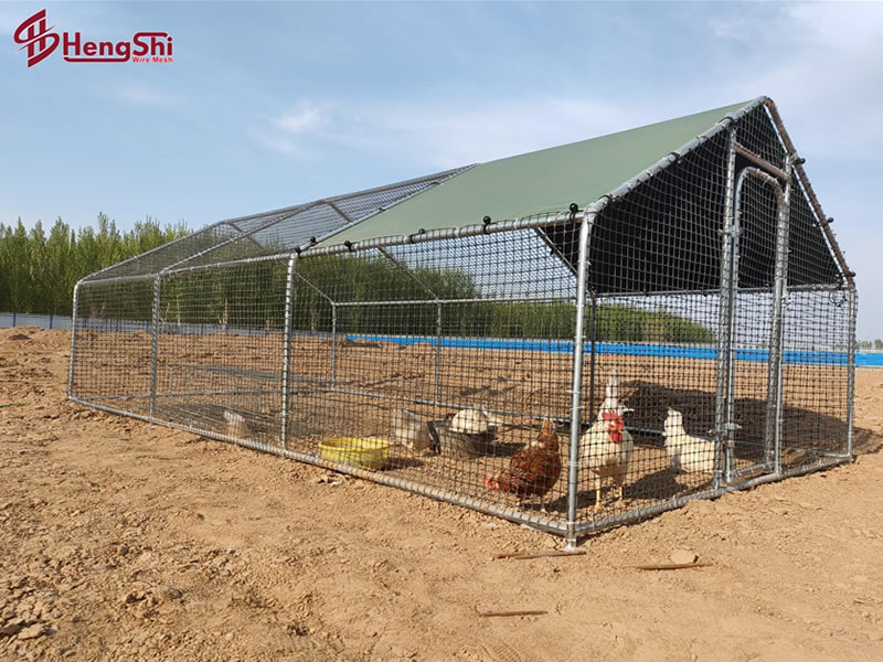 Metal Chicken Runs, Metal Chicken Coops, Metal Chicken Cages Hengshi